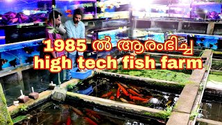 Dwaraka fish farm, imported guppys,tiger barb,Angel, polar blue,white, gowrami,cichlid veity \u0026sward