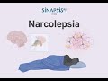 Narcolepsia, todo lo que necesitas saber.