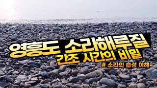 영흥도 소라해루질 - 간조 시간의 비밀