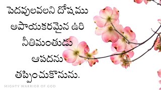 సామెతలు 12  | PROVERBS 12 TELUGU | MIGHTY WARRIOR OF GOD | TELUGU AUDIO BIBLE