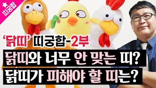 [띠궁합]🌈🐓'닭띠'와 너무 안 맞는 띠, 닭띠가 피해야 할 띠궁합은?🐣🐓닭띠 띠궁합-2부🌈