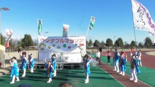 くまがや鳴子会 熊舞「よっちょれ」☆ベジタブルマラソン2016 in 熊谷スポーツ文化公園