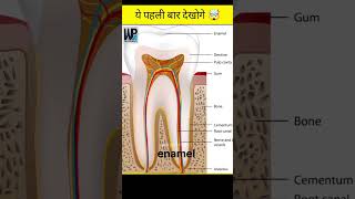 saliva appear in the mouth before vomiting