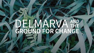 Delmarva and the Ground for Change