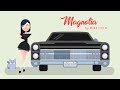 Mike Field - Magnolia (Official Lyric Video) - From True Stories Album