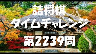 詰将棋タイムチャレンジ・第2239問