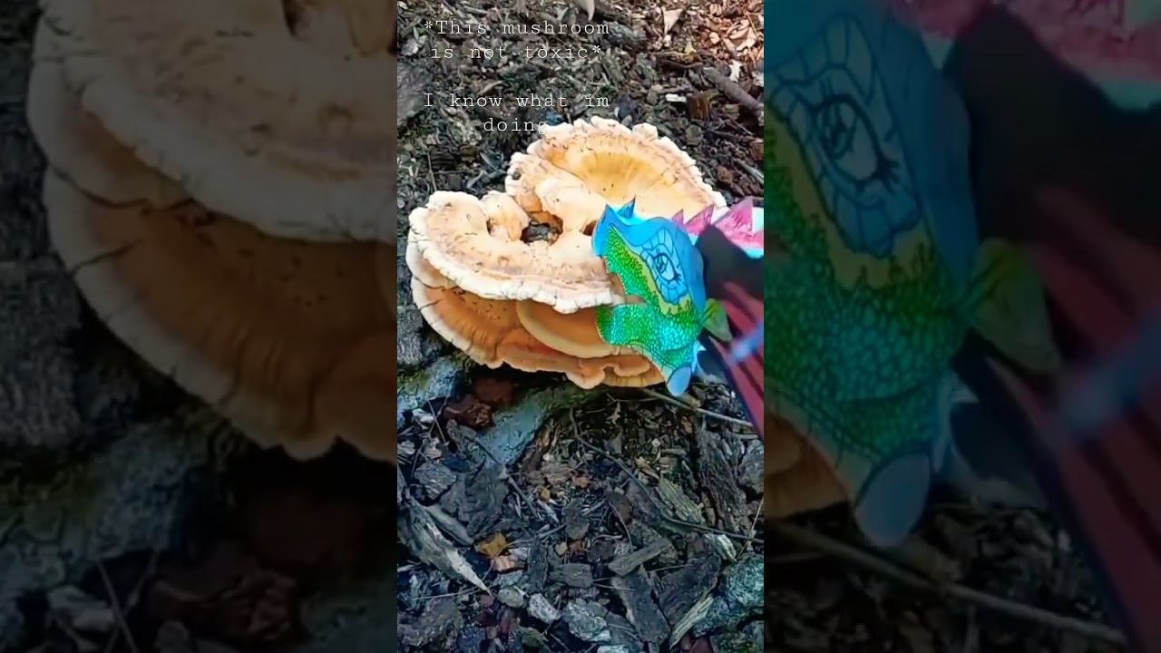 Paper Dragon Puppet Mushroom рџђірџќ рџ Youtube
