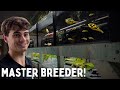 Top 10 Fish to Breed for Profit | Master Breeders Advice