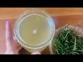 how to grow hair faster බලන් ඉද්දි කොන්ඩේ වැවෙන viral hair treatment එක 🤫😳 rosemary for hair grow