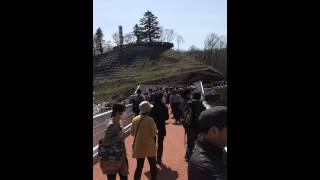 Zaoh Mountains with Cherry blosommes od Oogawara town's  ”Hitome Senbon Sakura”.