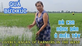 QUÁ BỨC XÚC CỦA NGƯỜI NÔNG DÂN Ở MIỀN TÂY| THE FURY OF FARMERS IN THE WEST| Giải Trí Miền Tây