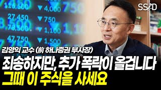 하락은 아직 끝나지 않았다 주식 사지말고 기다려라 (김영익 교수 前 하나증권 부사장)