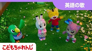 【英語の童謡】Finding Color Song | Learn color for kids | Nursery Rhymes｜Finger Family【しまじろうチャンネル公式】