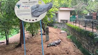 India’s Only Crocodile Bank in Chennai| Must Visit Near Mahabalipuram