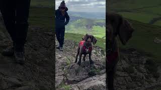 ARE WE hiking the DRAGON'S BACK? | Chrome Hill | Peak District | Hiking with dog | Roz