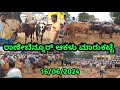 Ranebennur Cow Market || ರಾಣೇಬೆನ್ನೂರ ಆಕಳು ಮಾರುಕಟ್ಟೆ || Every Sunday Morning ||