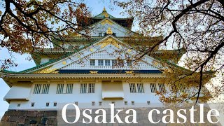 Osaka castle 大阪城 Osakajokoen 大阪城公園 Hideyoshi Toyotomi 豊臣秀吉 insta360 ONER