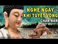 Nếu 1 Ngày Bạn Bất Lực Tuyệt Vọng Trong Cuộc Sống - Hãy Lắng Nghe Lời Phật Dạy Này để Tìm Lối Thoát