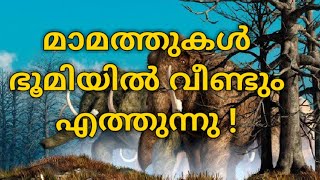 42,000 വർഷം മുൻപുള്ള മാമത്തുകള്‍ തിരികെ വരുന്നു!