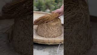 The glutinous rice is thoroughly mixed with the rice bran to disperse the cooked rice grains