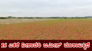 General Property Agriculture Land Sale Near By Parashurampur Challakere Taluk Chitradurga District