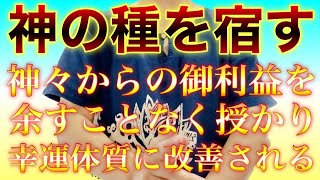 幸運体質に改善される🐉神の種を宿す🐉動画を再生すると限りないご利益を授かり願いがどんどん叶う特別な祈祷✨