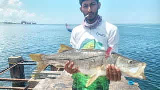 Fishing from a old jetty🇹🇹🎣#trinidadandtobago #jettyfishing #labrea