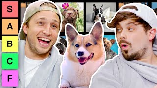 We Rate Dogs for 17 Minutes Straight (Tier List)