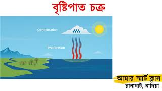 জল চক্র । বৃষ্টিপাত চক্র । Water Cycle | মেঘ বৃষ্টি ও বৃষ্টি চক্র | Basic Concept of Water Cycle