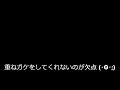 チョコットランド　いぬだまペット実戦検証