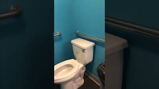 What does a non-gendered bathroom look like?