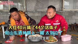 大红44元买了40个活珠子，和山东酒神喝上一喝，这也太过瘾了