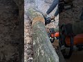 Бензопила dnipro m vs stihl ms 170