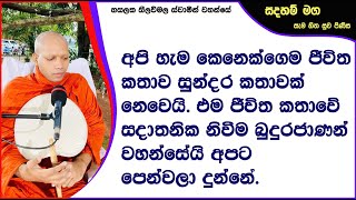 අපි හැම කෙනෙක්ගෙම ජීවිත කතාව සුන්දර කතාවක් නෙවෙයි. 798Ven Hasalaka Seelawimala Thero