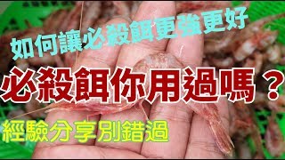 釣魚最強必殺餌，如何讓餌不會臭與黑，還讓大魚愛吃