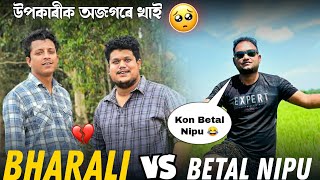 Bharali Vs Betal Nipu 😢 // উপকাৰীক অজগৰে খাই 🥺 @africanbhaluk9543