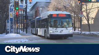 Winnipeg Transit still struggling with staffing amid new planned routes