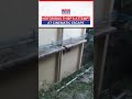 thief in bangalore tries a daring escape from the first floor of hospital building shorts