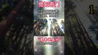 1.究竟何为真正的内观？多数人从未完整进行过，提升觉察，向内探索！#宇宙 #精神 #財富 #修行#能量#業力#靈魂 #第五維度#生命 #振動 #靈性 #覺醒