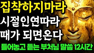 조급한 마음이 편안해 지는 부처님 명언 | 잠자면서 듣는 석가모니 인생조언 모음 2시간 30분 | 행복한 노후 | 나이 들수록 조심해야 하는 것 | 오디오북 철학 즉문즉설