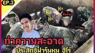 EP.3 ทำความสะอาดโรงเรือนสุกร ป้องกันโรค | อาร์ทหมูซิ่ง