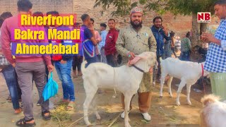 Riverfront Bakra Mandi Ahmedabad | 7 Jan 2024 Ravivar Bazar