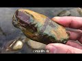 【石拾い no.54】土岐川 no.10【岐阜県瑞浪市】 石拾い　 stonehunting　 石英　 quartz　 瑪瑙　 agate