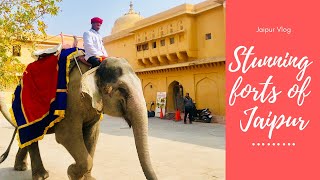 Magnificent forts of Jaipur | Rajasthan, India Vlog