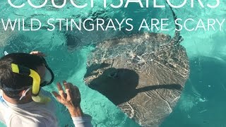 Wild Stingrays Are SCARY! || COUCHSAILORS Sailing Journal #11