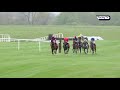 2019 herald champion novice hurdle racing tv