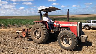 MASSEY FERGUSON 275 ON 7-SHAFT SUBSOILER