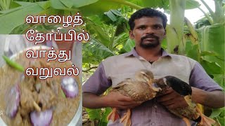 வாழைத் தோப்பில் வாத்து வறுவல் Duck fry in banana grove