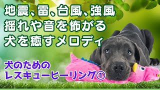 【犬のためのレスキューヒーリング】地震 雷 台風に怯える犬を癒したい　揺れや音を怖がるワンコへ🐩🍀