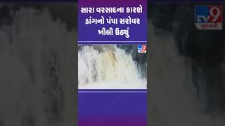 સારા વરસાદના કારણે ડાંગનો પંપા સરોવર ખીલી ઉઠ્યું | #dang #gujarat #gujaratrains  #shorts